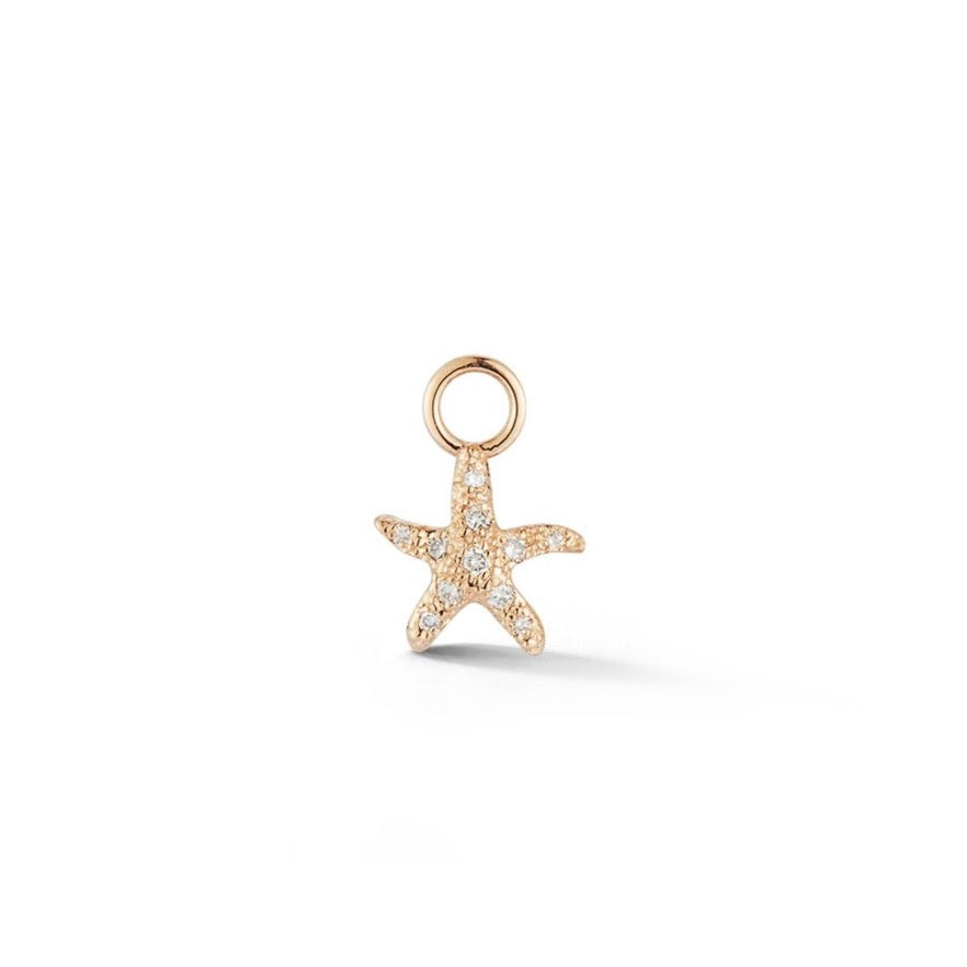 Starfish Huggie Charm