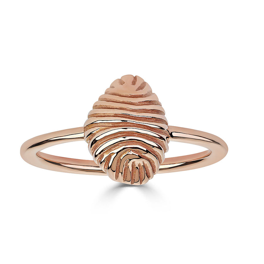 Thread and Shell Ring