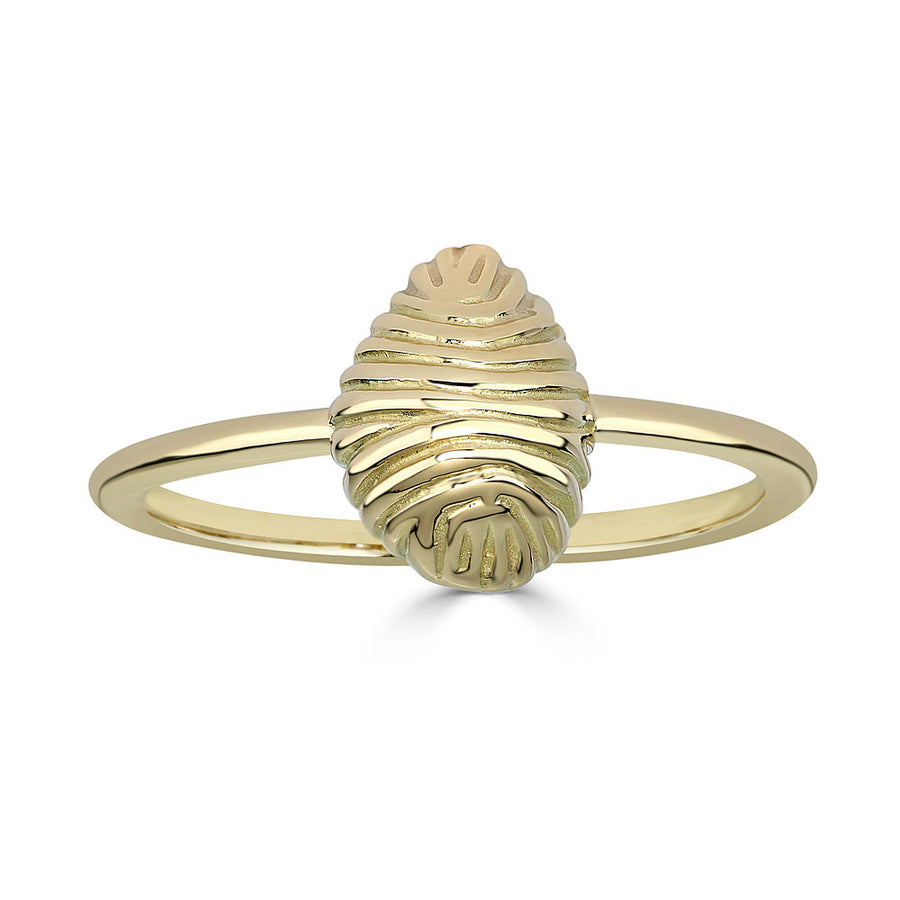 Thread and Shell Ring